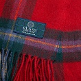 картинка Clans of Scotland Maclaine of Lochbuie от магазина  Mykilt